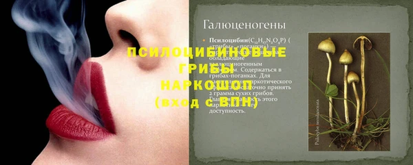 гидропоника Бугульма