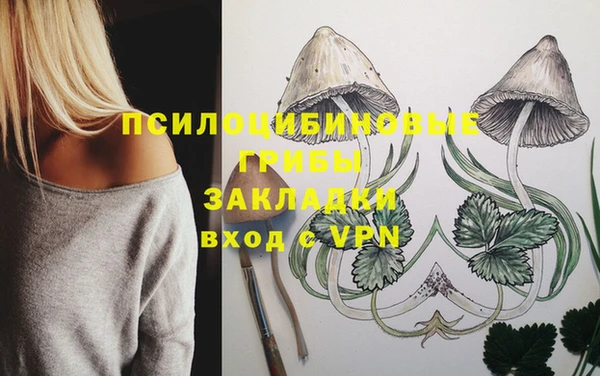гидропоника Бугульма