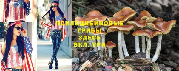 гидропоника Бугульма