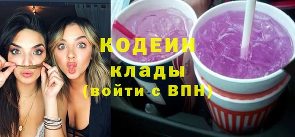 таблы Бородино