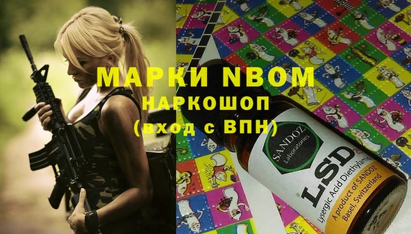 хмурый Верея