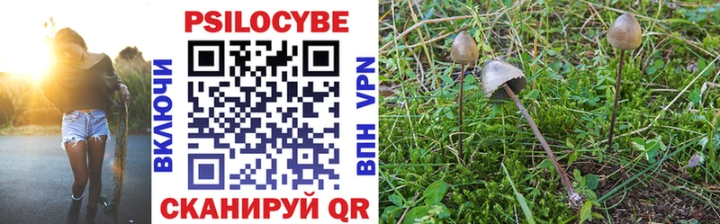 купить закладку Кизляр Псилоцибиновые грибы мицелий
