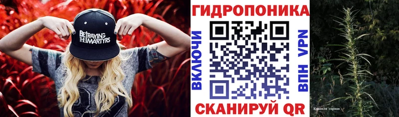 сколько стоит  Кизляр  Конопля Bruce Banner 